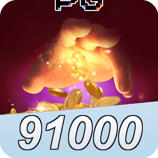 Formulário de Registro 91000